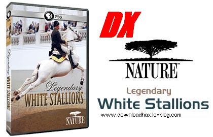 Legendary White Stallions cover دانلود مستند Legendary White Stallions 2013